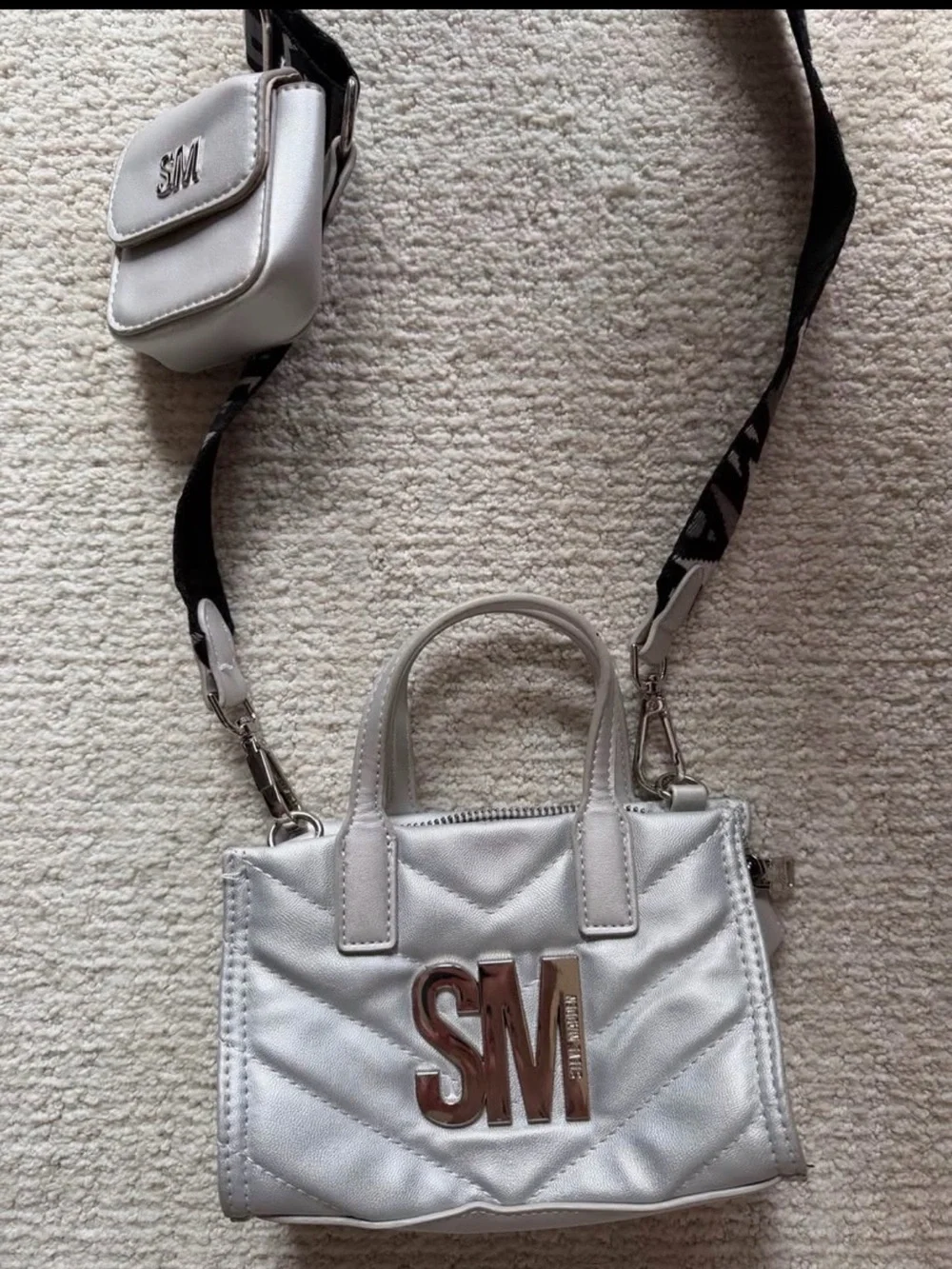 Steve Madden Mini Crossbody Bag in Metallic Silver